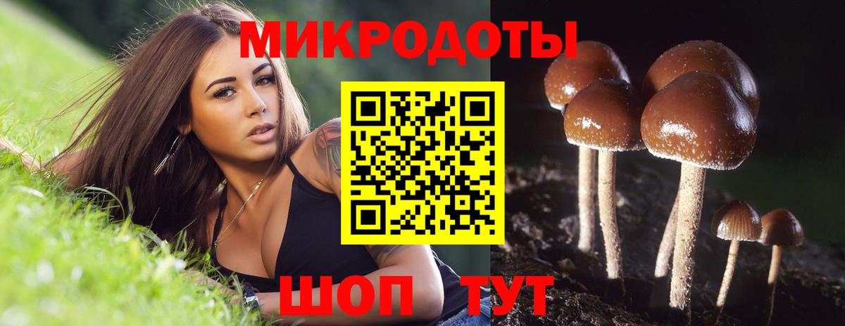 Галлюциногенные грибы мухоморы Кизилюрт